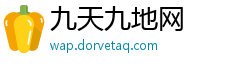 九天九地网 九天九地网
